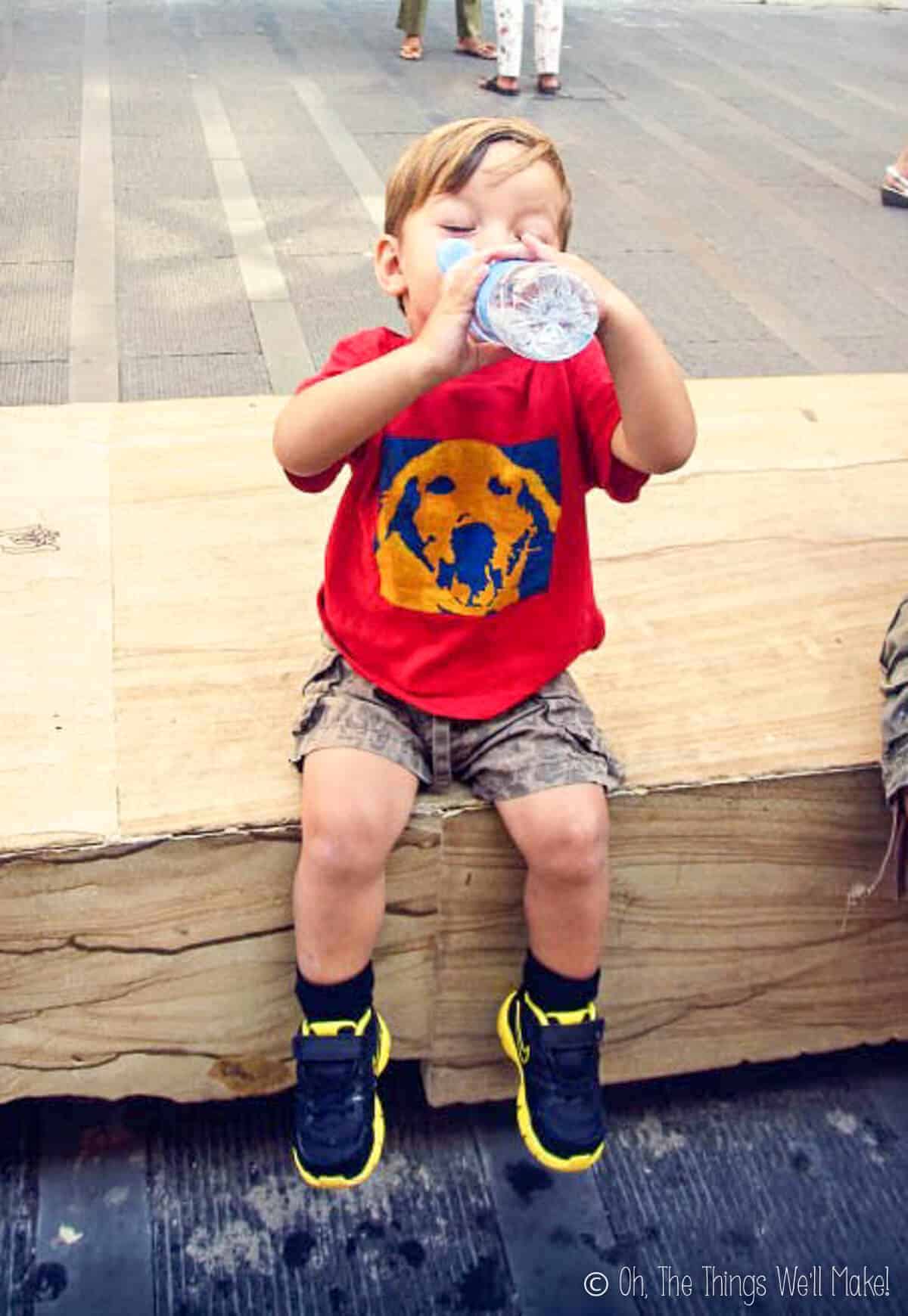A young boy wearing a red handmade t-shirt with an orange and dark blue pop art dog face design in front.