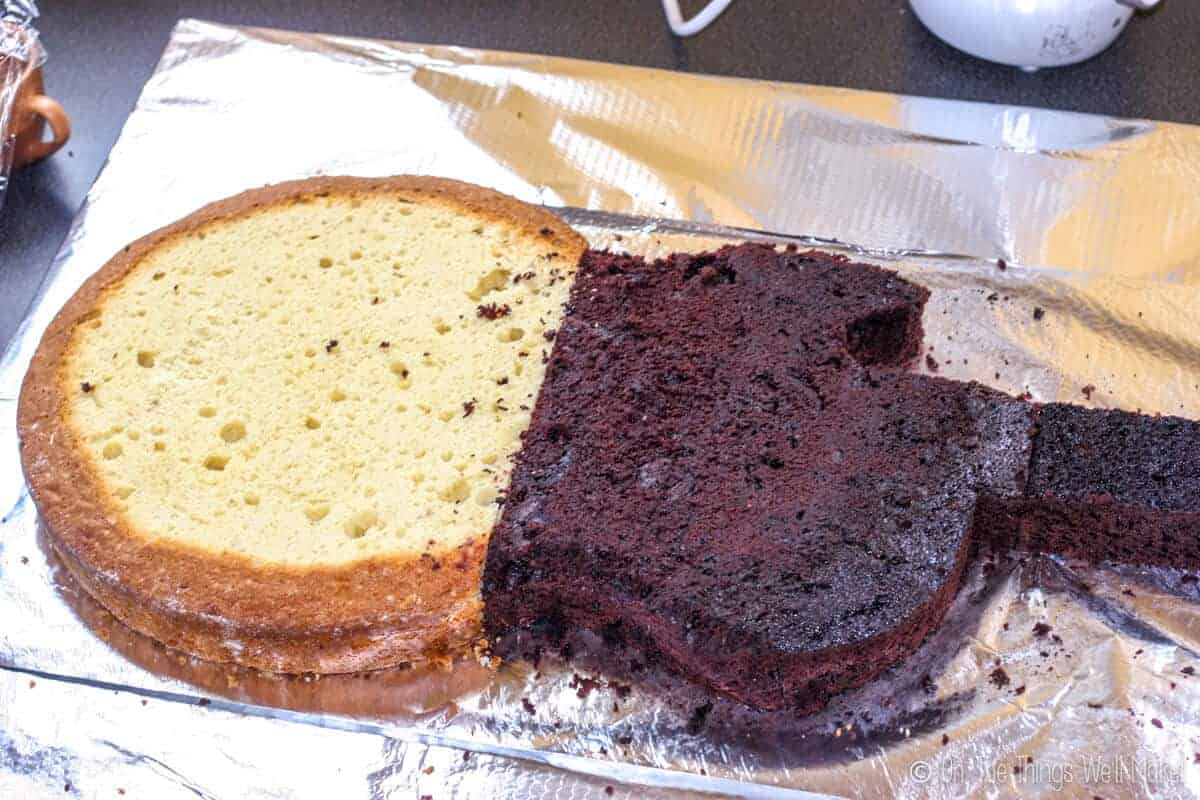 Two rounds of cake, one white and one chocolate, pushed together and cut into guitar shape