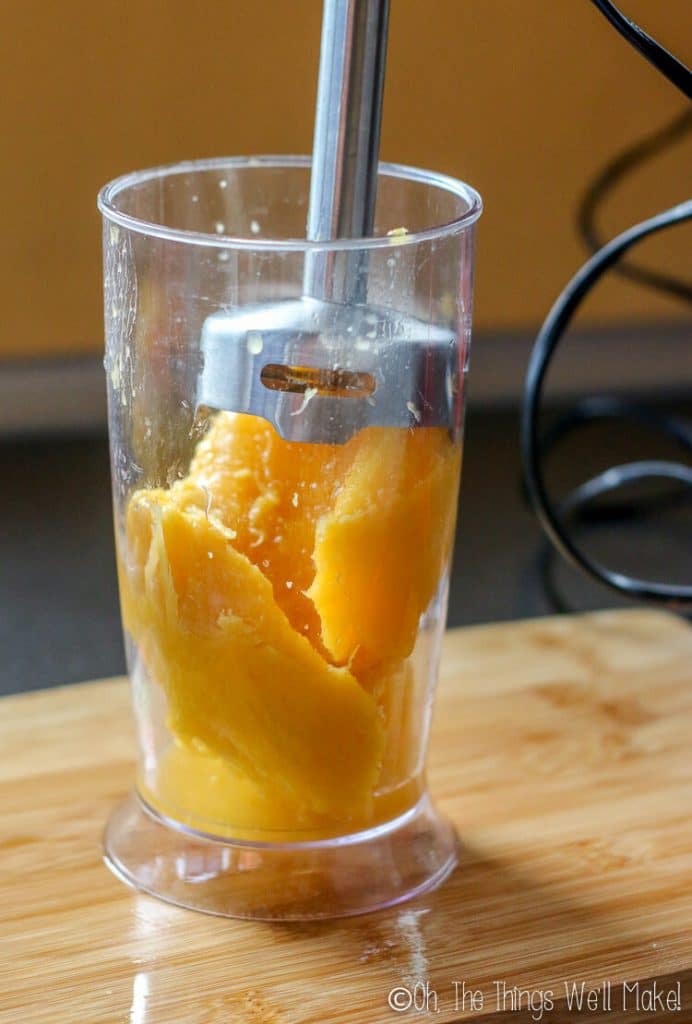 Fruit Ice Cubes Freezing Fruit for Smoothies or Baby Food Oh, The