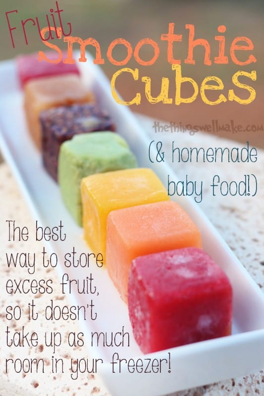 Making fruit ice cubes for smoothies and homemade baby food is the best way to freeze excess fruit so it doesn't take up excess room in your freezer!
