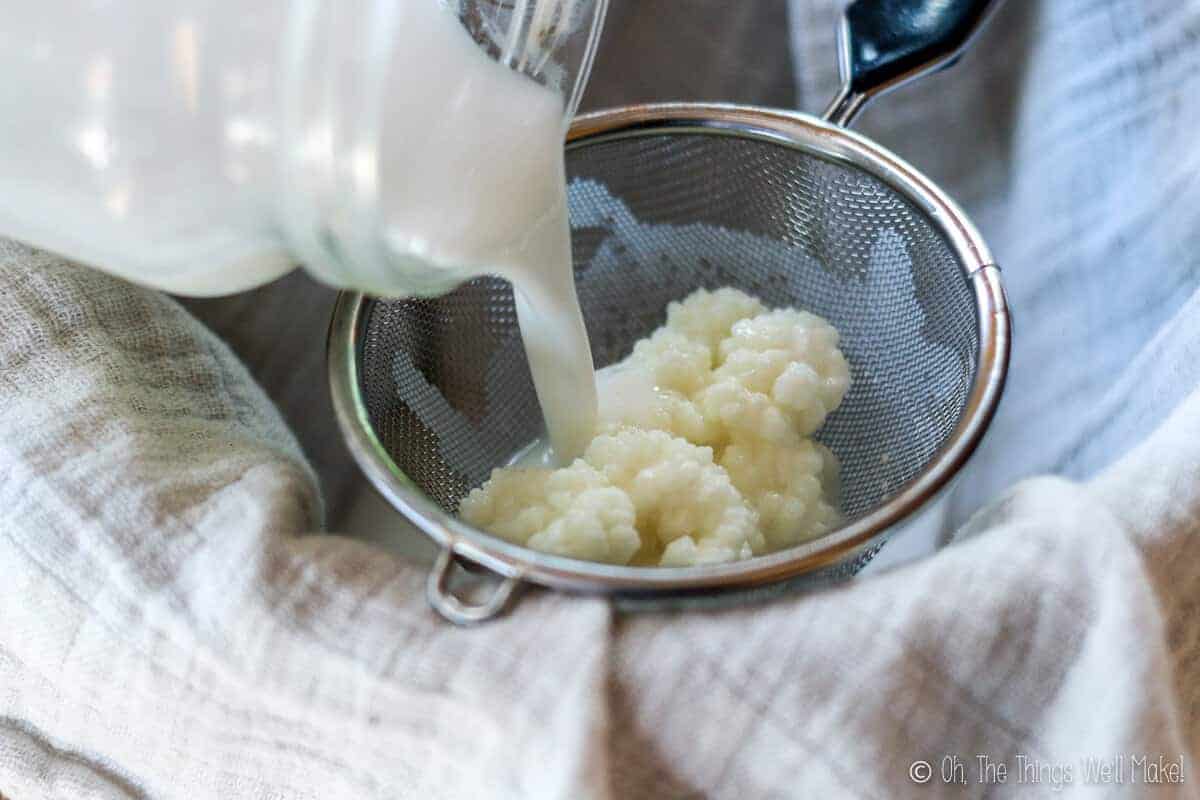 How to Make Kefir at Home Oh, The Things We'll Make!