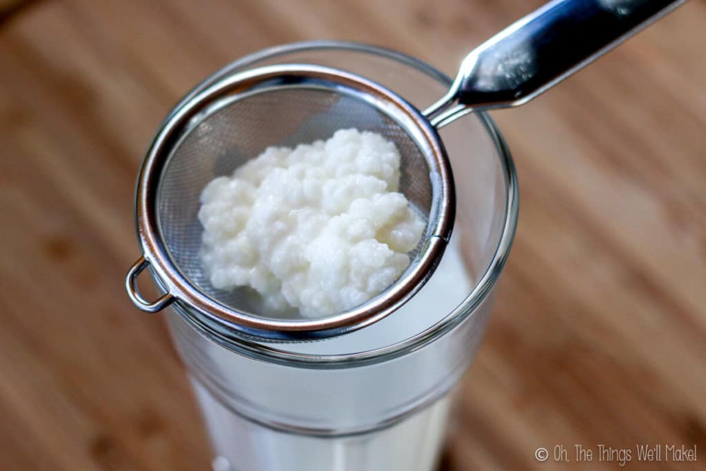How to Make Kefir at Home Oh, The Things We'll Make!