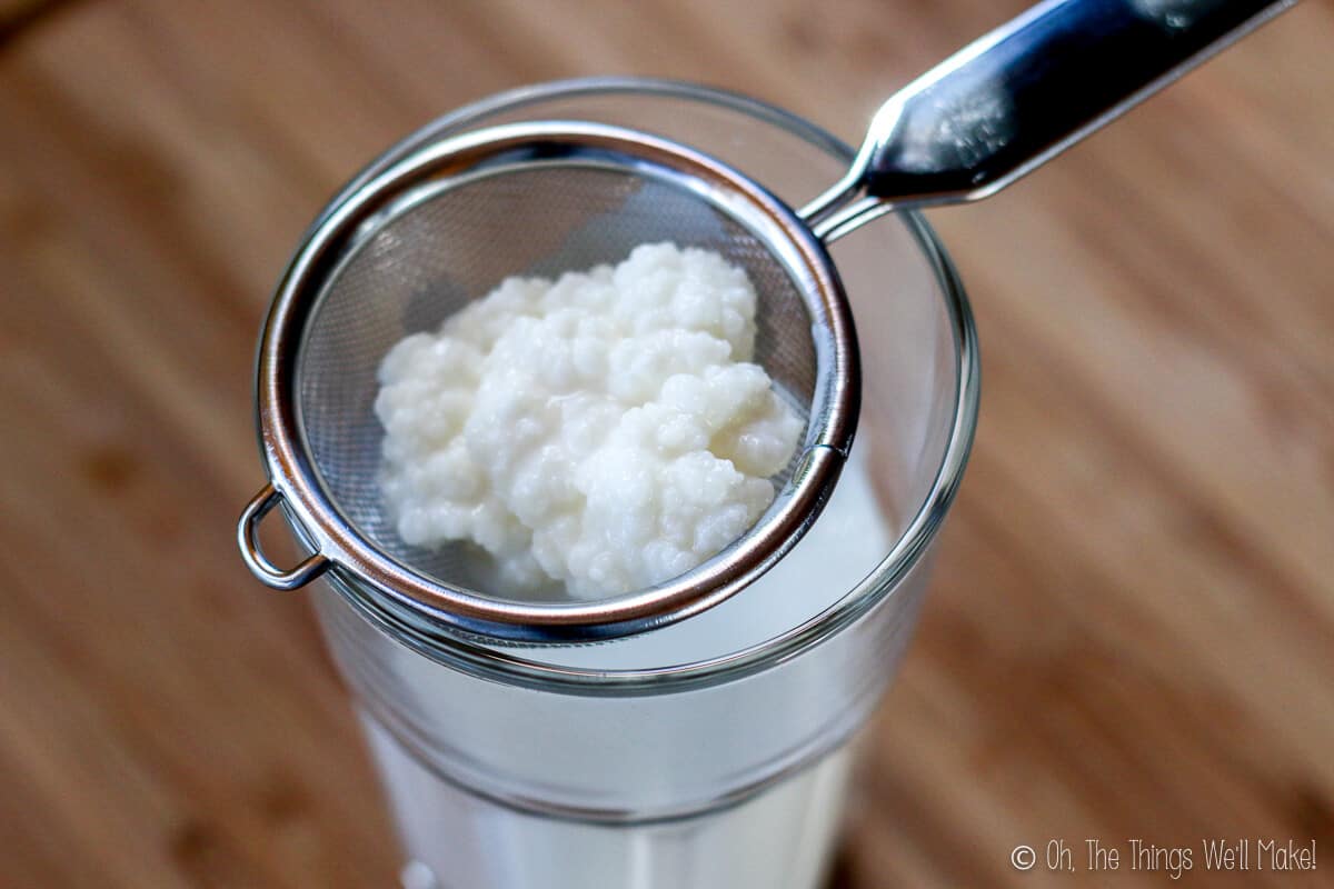 Kefir grains in a strainer over a glass of kefir.