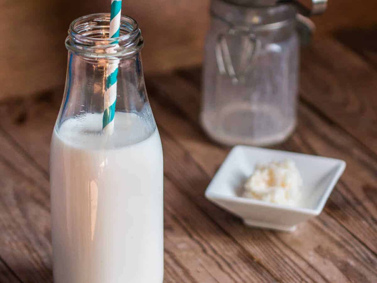 A clear glass bottle of milk kefir with a striped blue and white straw inside, and a small, white square plate of kefir grains in the back.