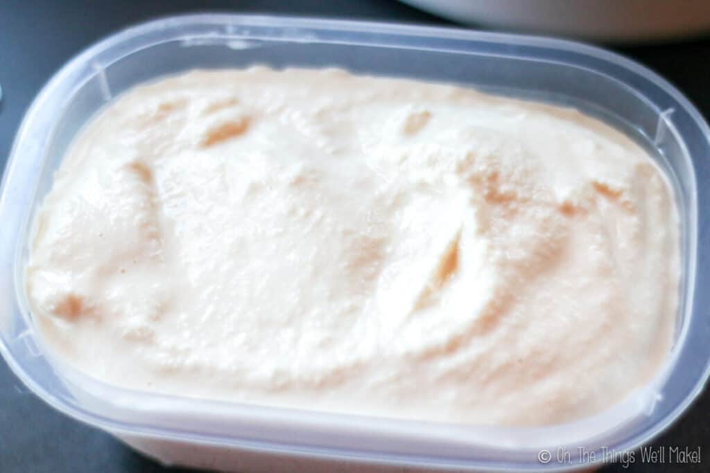 frozen kefir in a plastic container