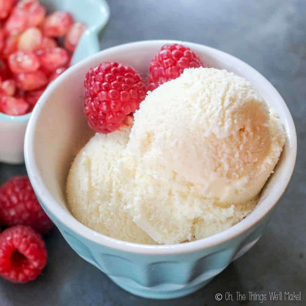 Homemade Kefir Ice Cream (Frozen Kefir) - Oh, The Things We&amp;#39;ll Make!