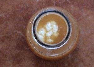 Overhead view of kefir grains in a jar with apple juice