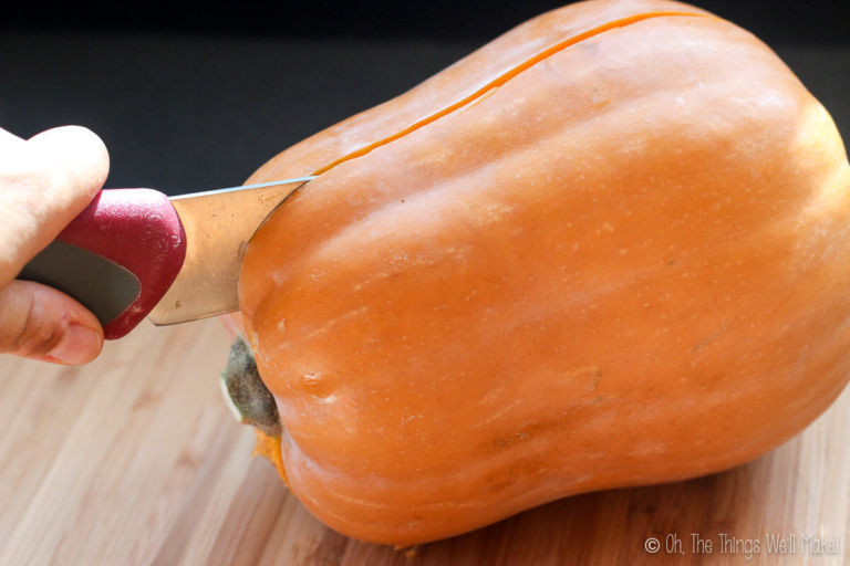 Easy Homemade Pumpkin Puree (Canned Pumpkin Substitute) Oh, The