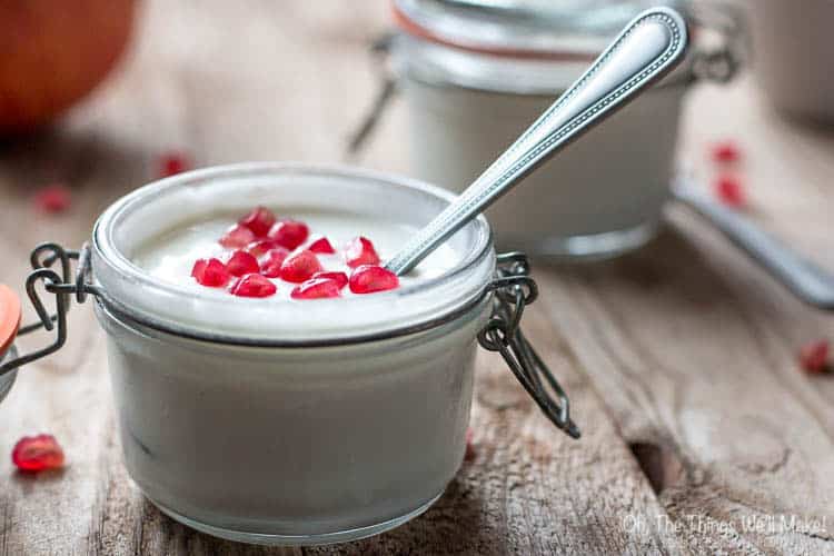 yogurt recipe for yogurt maker