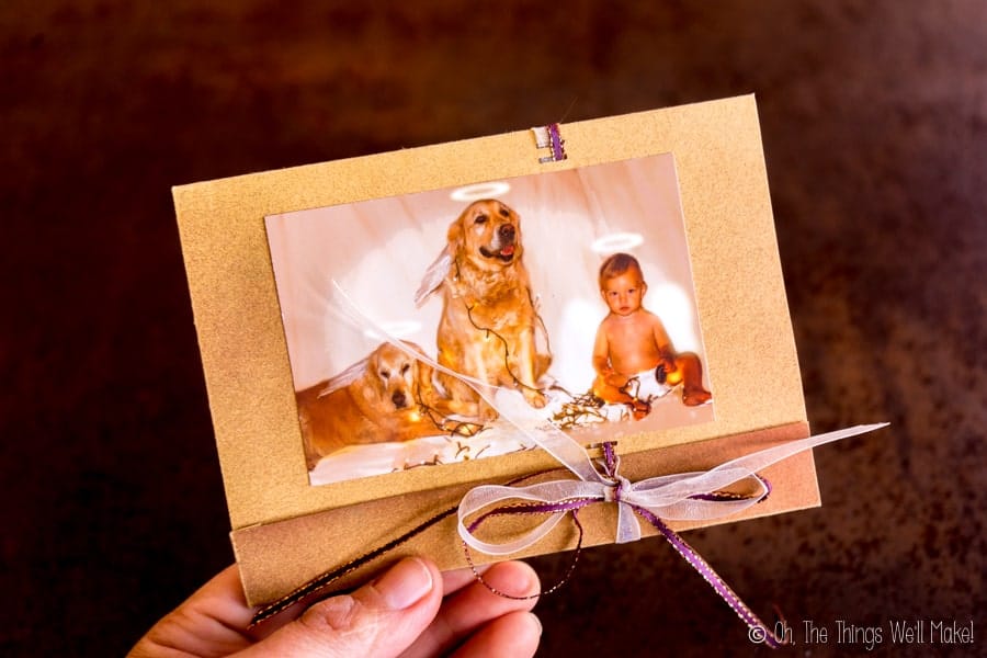 A Christmas card with a photo of a baby with 2 golden retrievers, all with halos over their heads.