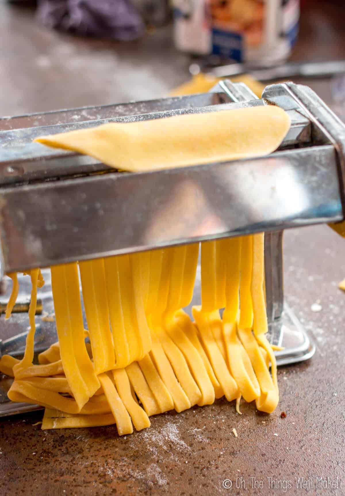 Basic Pasta Dough Recipe - Oh, The Things We'll Make!