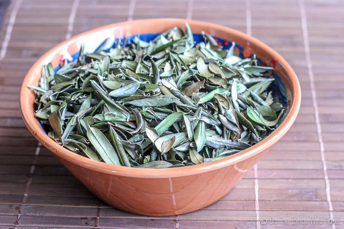 A bowl of olive leaves ready for making into herbal tea.