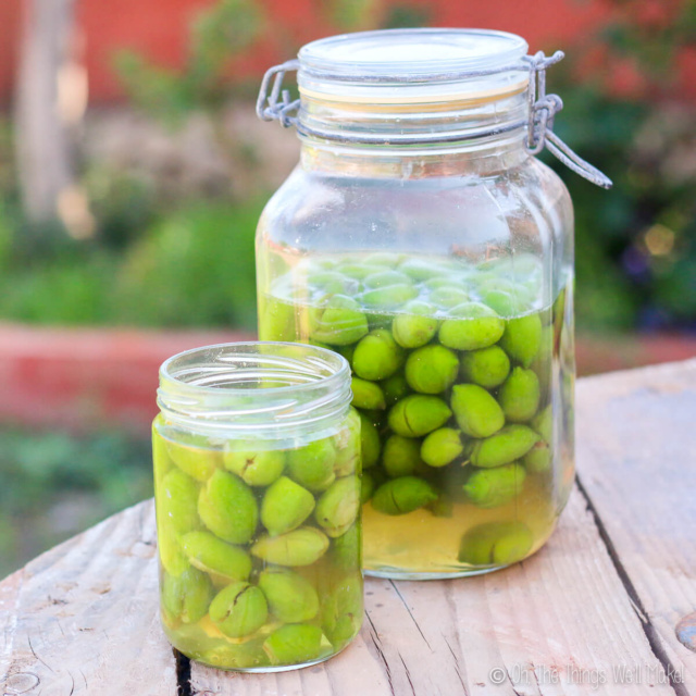 Homemade Salt Cured Olives Oh, The Things We'll Make!