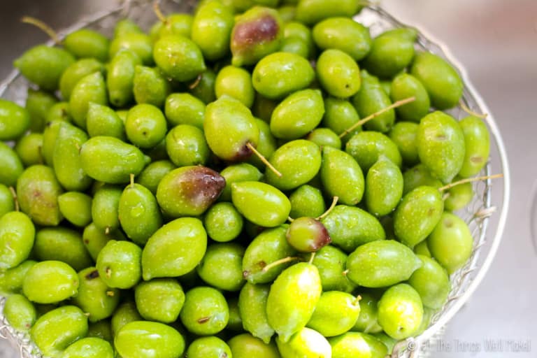 Homemade Salt Cured Olives Oh, The Things We'll Make!