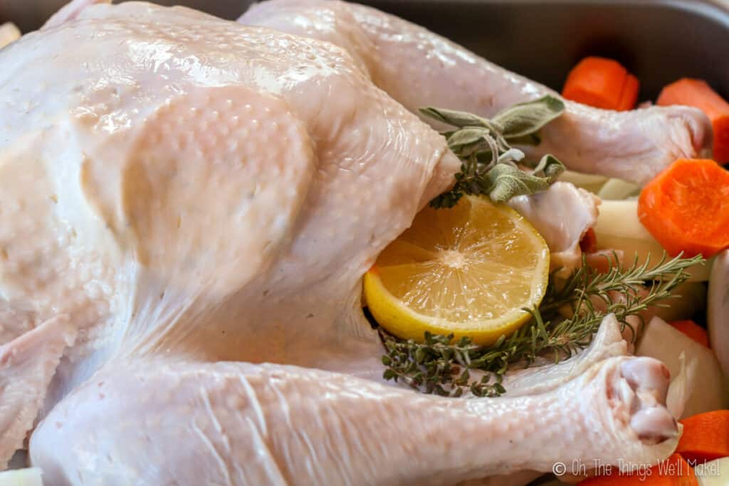 Closeup of a turkey with butter disks under the skin, and filled with herbs and a lemon half. 