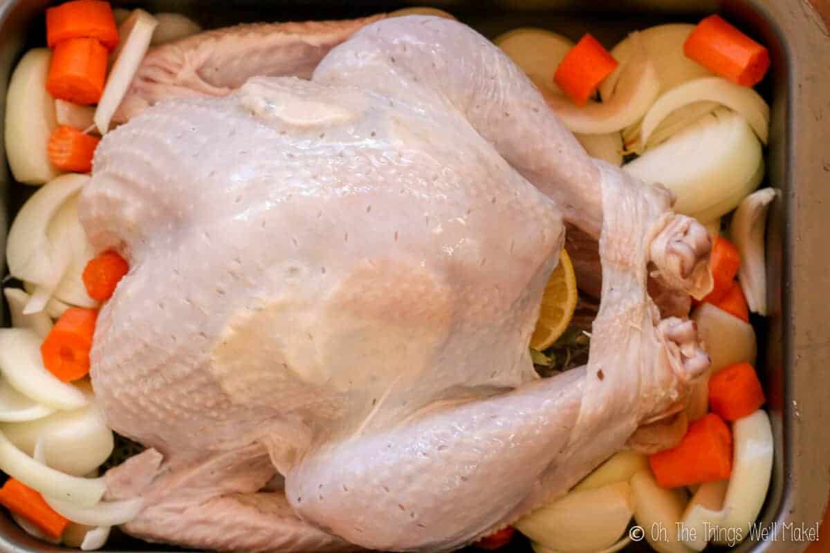 Overhead view of a turkey in a tray. The legs have been tucked under a strip of the skin to hold them in place.