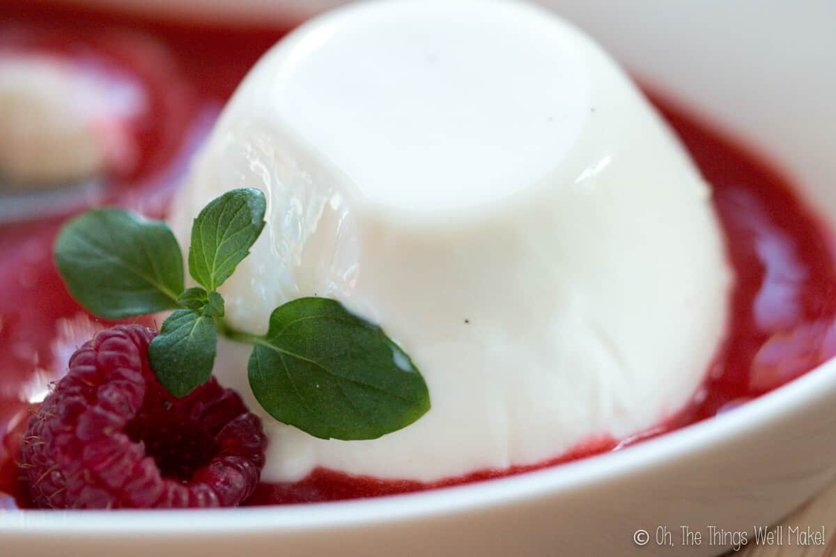 a creamy panna cotta on a plate garnished with a berry puree, raspberries, and fresh mint leaves