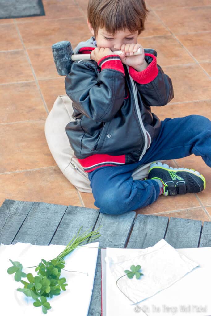 A young boy ready to hammer some clovers onto cloth to make shamrock prints.