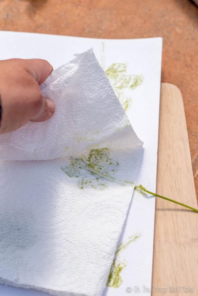 Covering the clover with paper toweling before hammering them.