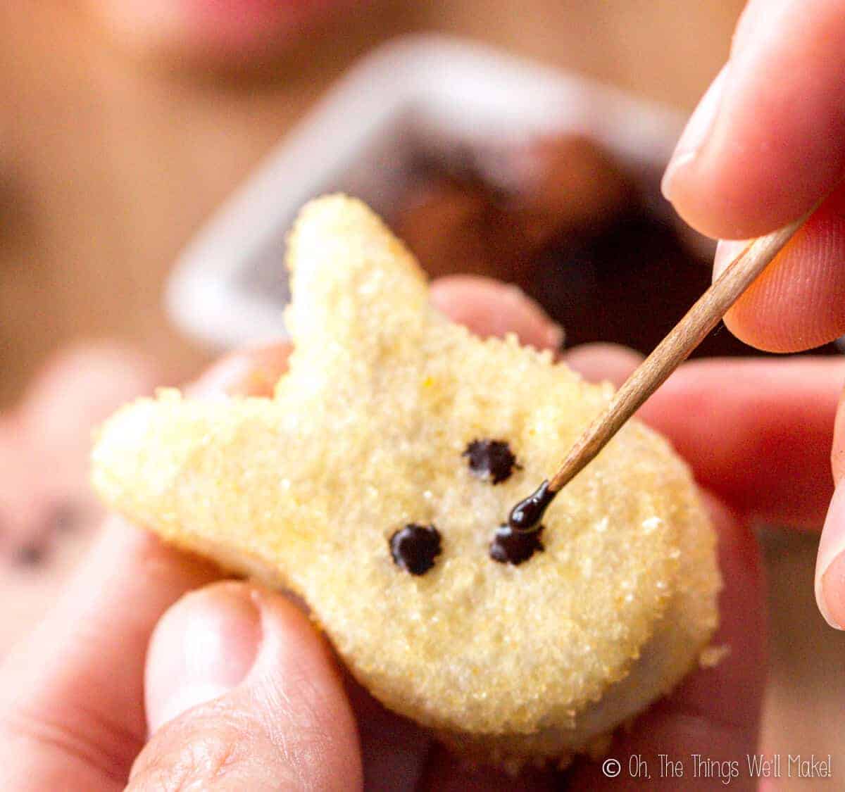 Closeup of using a toothpick to paint on the cocoa eyes and nose to a bunny shaped homemade marshmallow peep