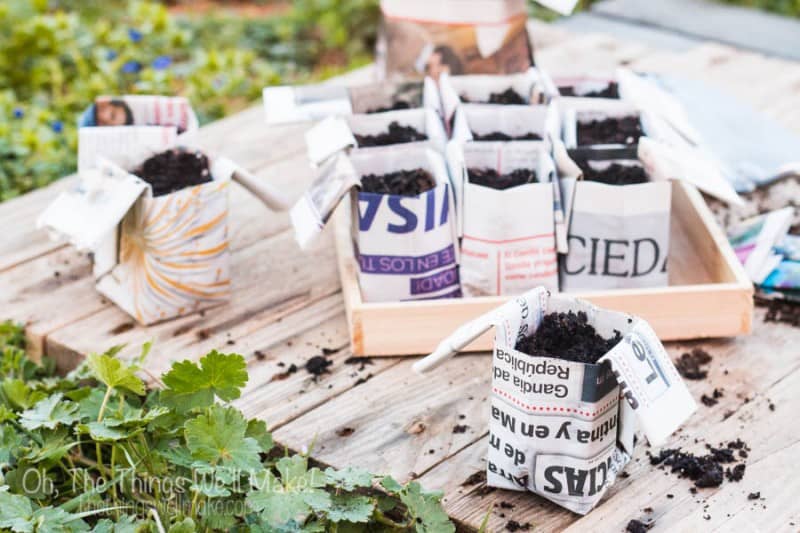 Make your own DIY origami newspaper pots for seedlings. Recycle your newspapers into biodegradable pots that can be planted with your seedlings., thereby protecting the fragile roots of your precious plants!