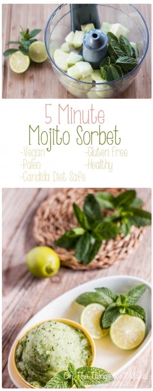 pin for mojito sorbet