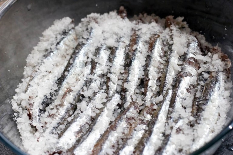 Homemade Salt Cured Anchovy Fillets Oh, The Things We'll Make!