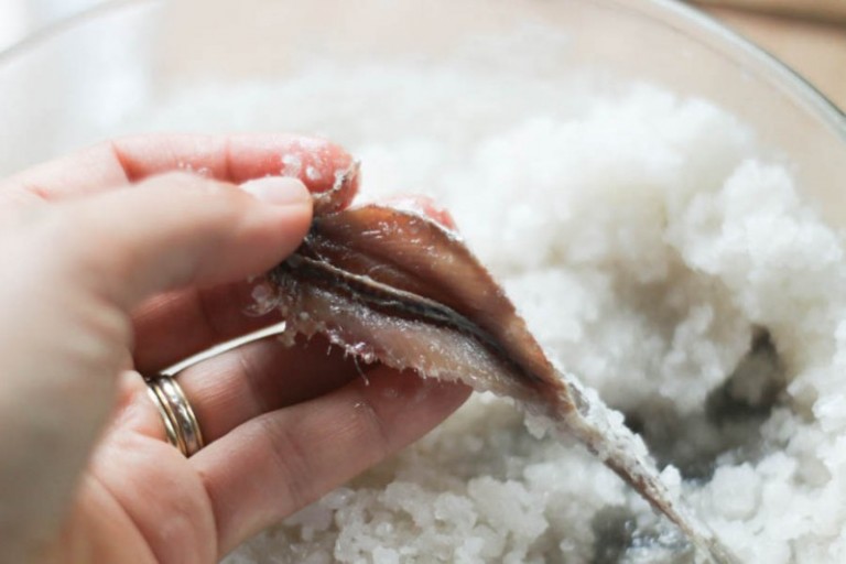 Homemade Salt Cured Anchovy Fillets Oh, The Things We'll Make!