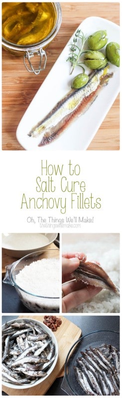 Homemade salt cured anchovy fillets are easy to make, healthy, and very tasty. Read how to clean the fish, cure it, and store it.