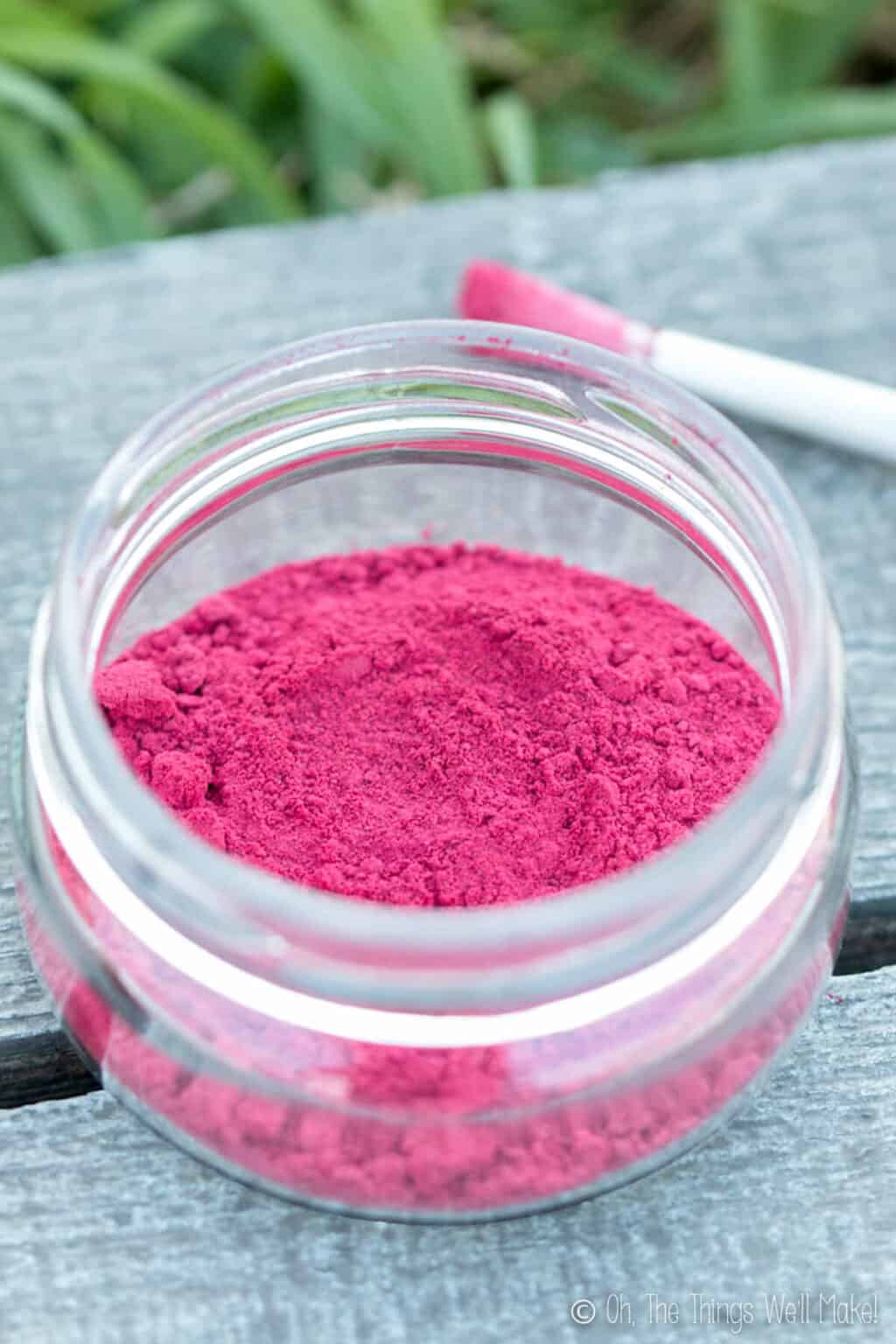 How to Make Beetroot Powder - Oh, The Things We'll Make!