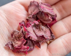 Closeup of a hand holding dried beetroot slices.