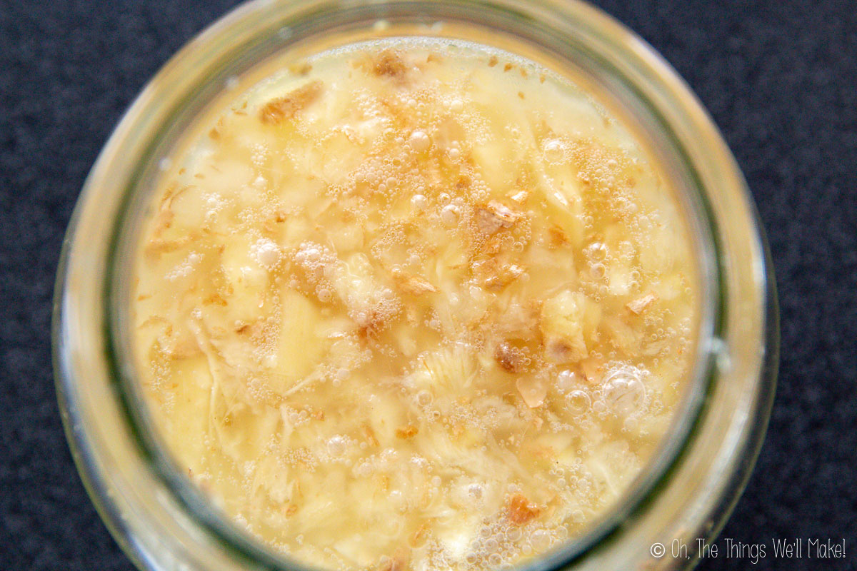 Delicious Ginger Vinegar Oh, The Things We'll Make!