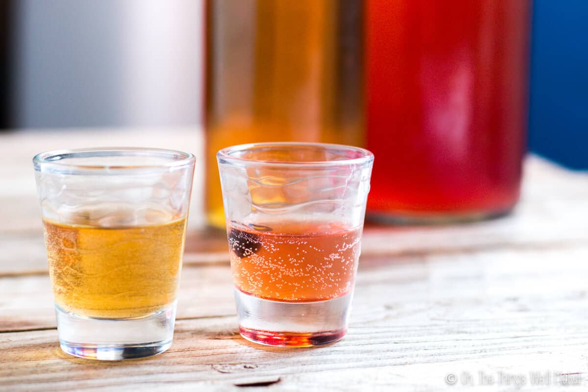 Two shot glasses filled with different flavors of kombucha in front of 2 glass bottles of kombucha