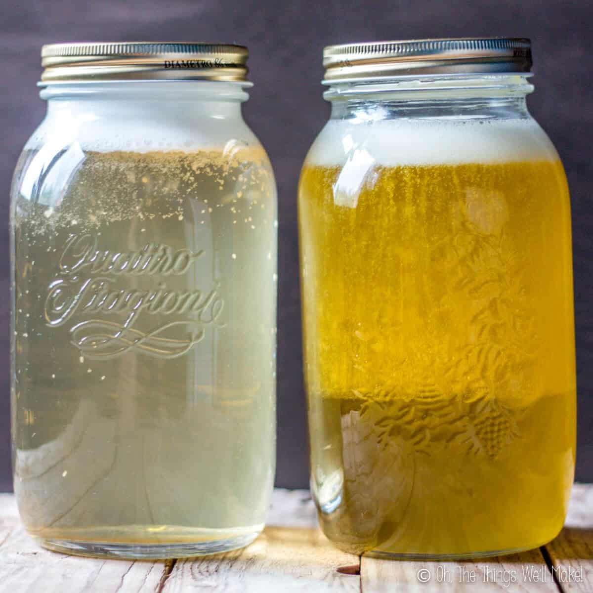 Two jars of homemade liquid soap: one coconut oil based and one olive oil based. The olive oil based soap is becoming more opaque.