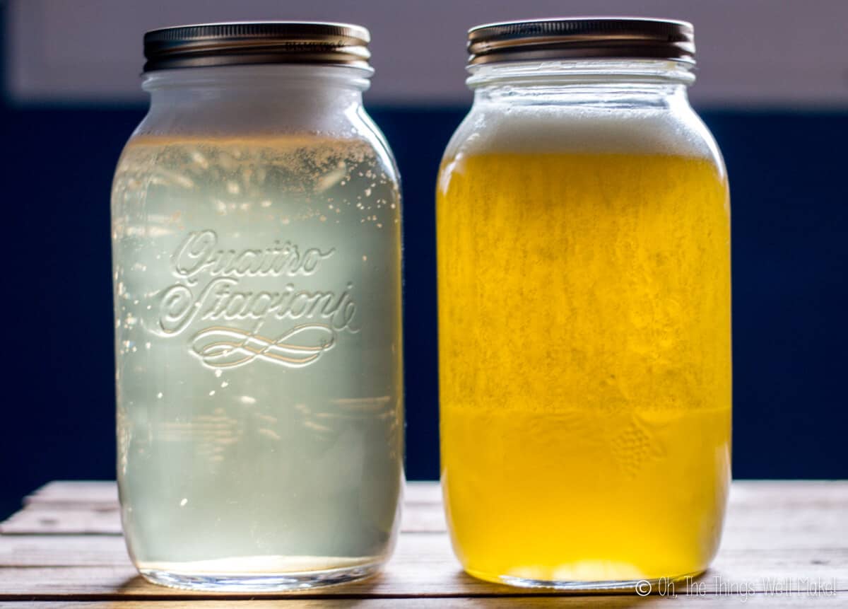 Two jars of homemade liquid soap: one coconut oil based and one olive oil based.