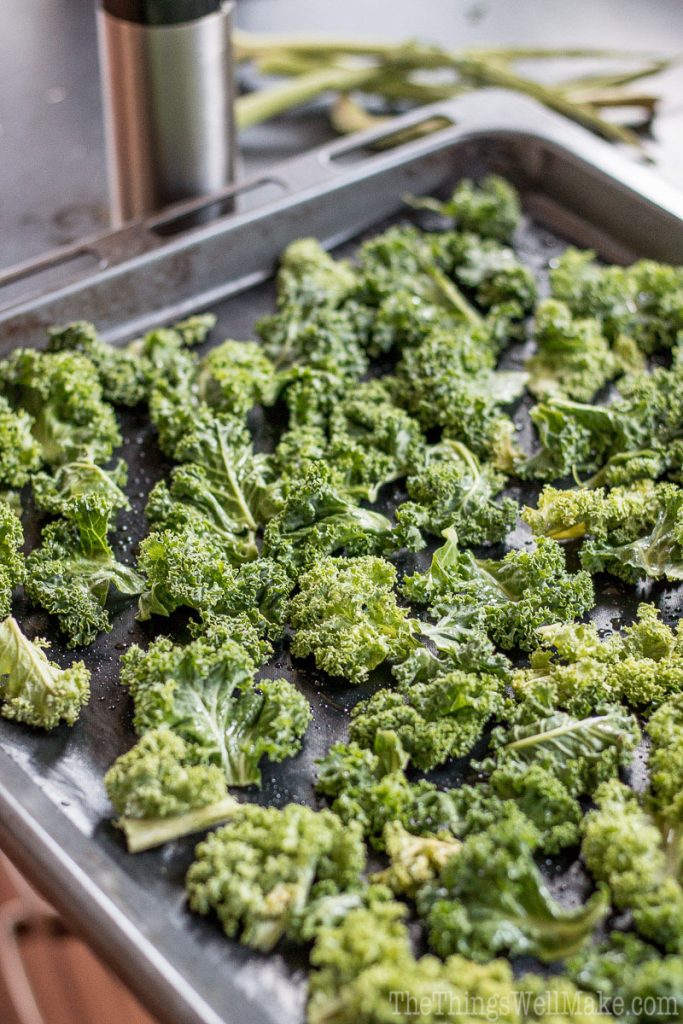Best Crispy Kale Chips Recipe Oh, The Things We'll Make!