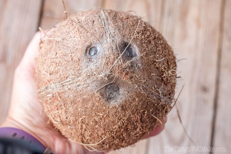 Close up of man hand grated coconut using an electric coconut grater in  Thailand Stock Photo