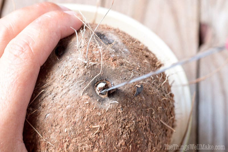 Close up of man hand grated coconut using an electric coconut grater in  Thailand Stock Photo