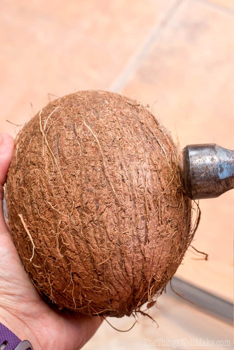 A hammer head against a coconut