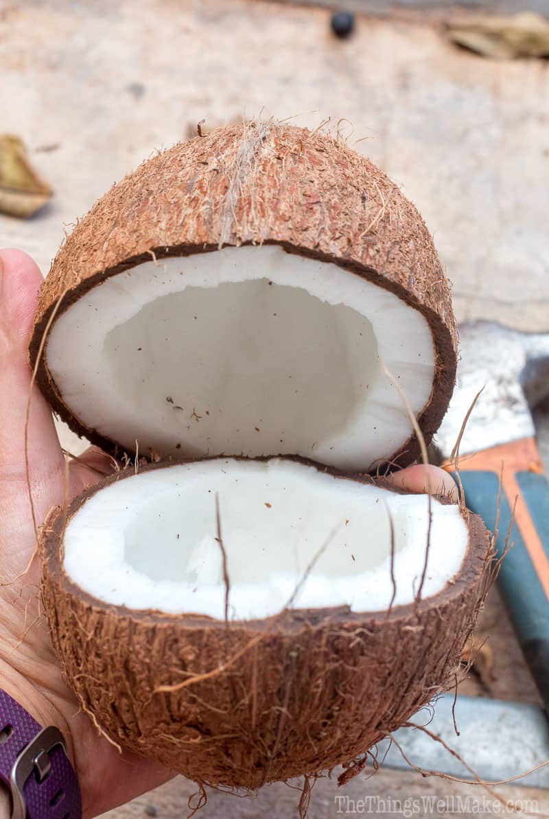 A coconut that has been broken in half, showing the interior