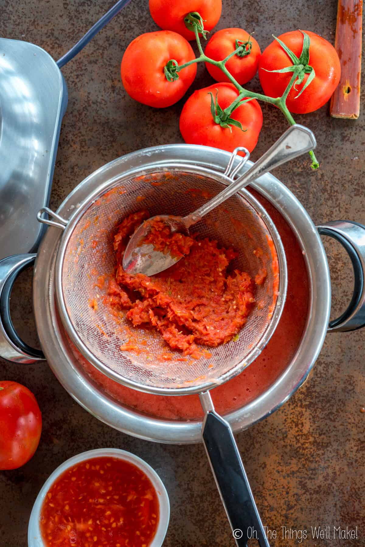 Easy Homemade Tomato Paste Recipe - Oh, The Things We'll Make!