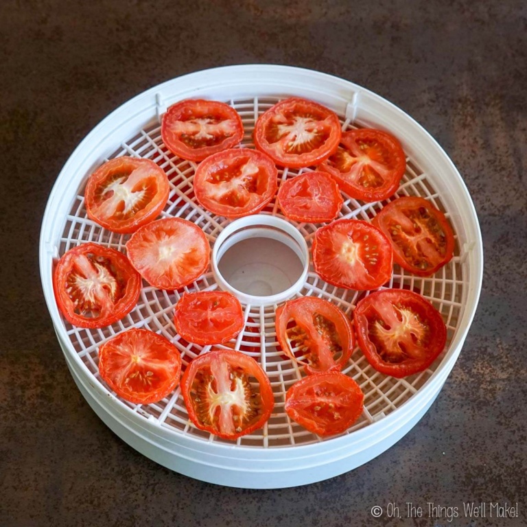 How to Make Tomato Powder (& Sundried Tomatoes) - Oh, The Things We'll ...