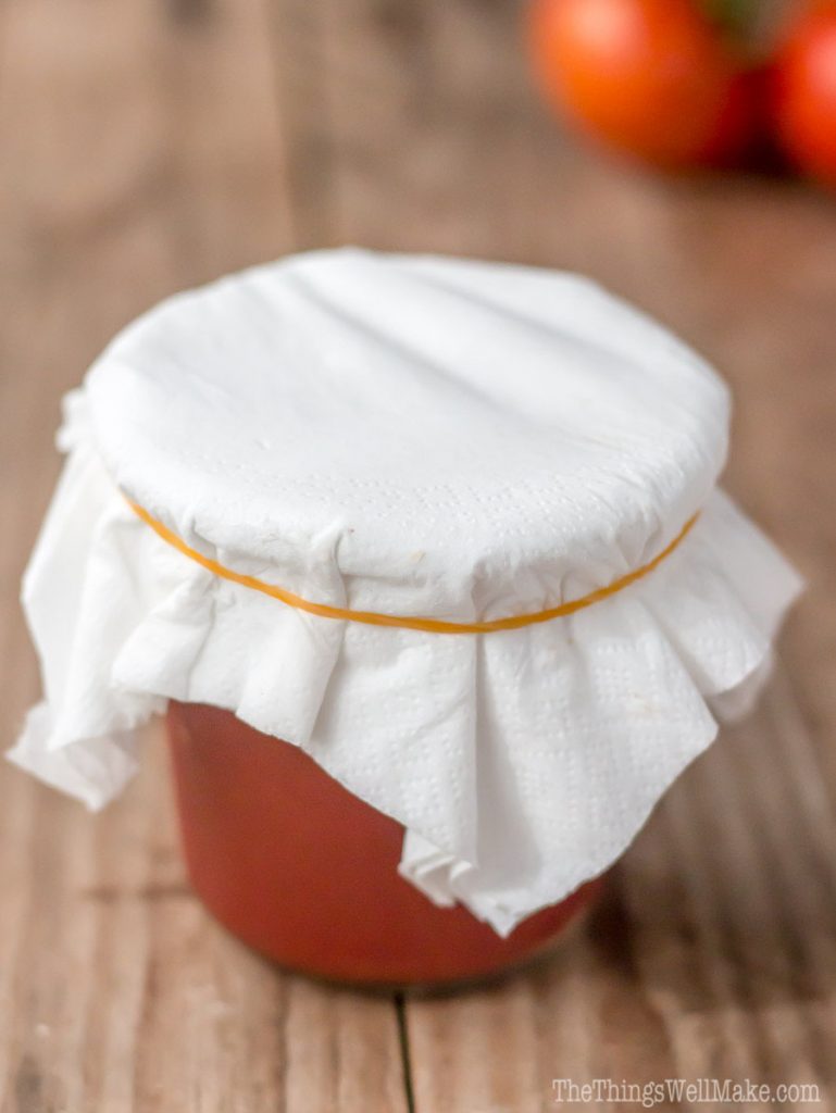 It's easy to add fermented foods to every meal when you serve this homemade fermented ketchup that everybody in the family will love.