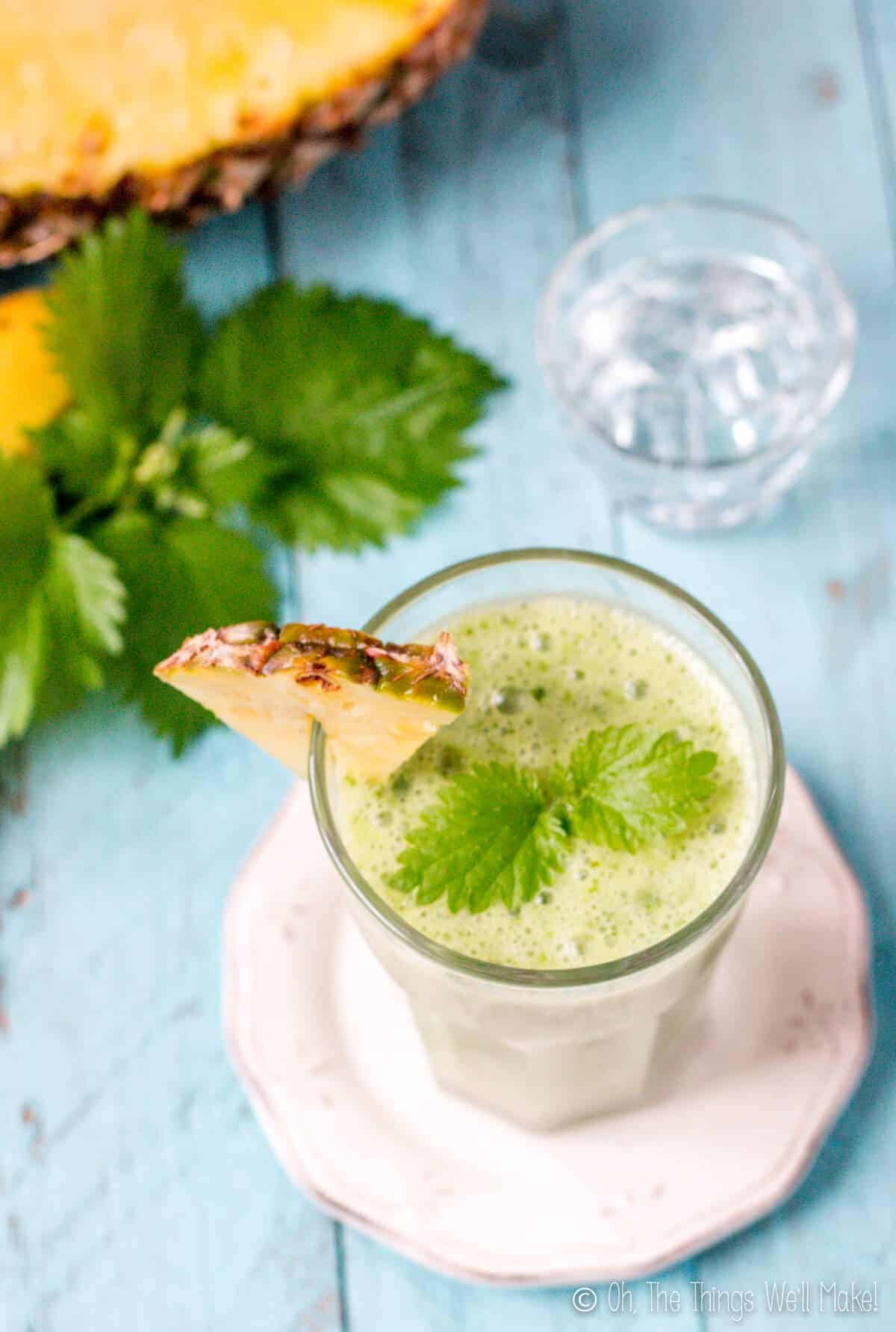 closeup overhead view of a green smoothie made with nettels next to nettle leaves and pineapple