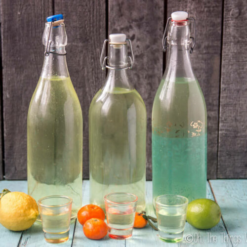 There are several ways to make a homemade limoncello, limecello, or mandarinecello. I put several methods to the taste test. Which do you think won?