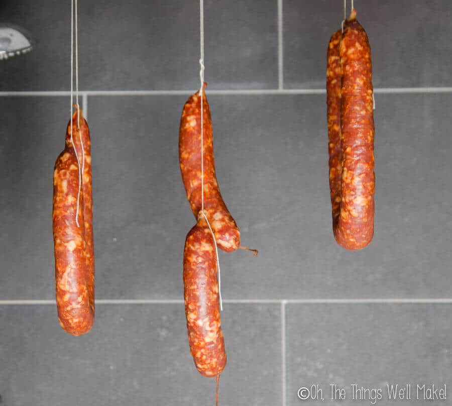 Homemade chorizo being hung to dry during the curing process