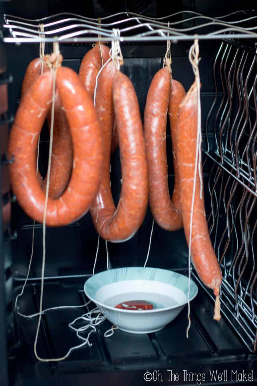 homemade chorizo being hung in a small refrigerator with a bowl of water underneath for humidity