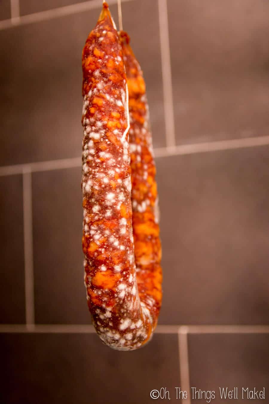 Chorizo with a white, powdery mold beginning to form.