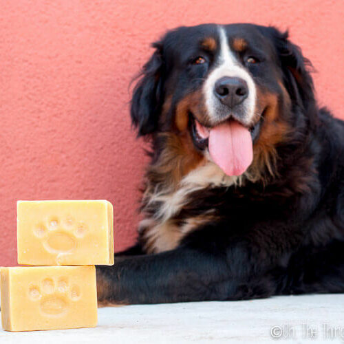 How to Make a Homemade Dog Shampoo Bar Soap Oh The Things We ll Make