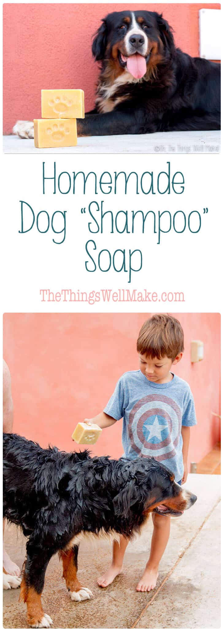 How to Make a Homemade Dog Shampoo Bar Soap Oh, The Things We'll Make!
